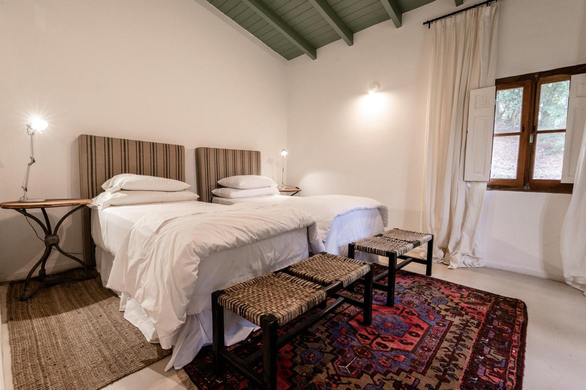 Scratch House Hotel Boutique Villa Allende Exterior foto